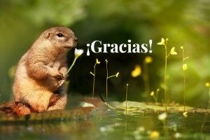 Gracias